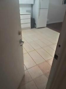 gorgeous spacious basement apartment for rent