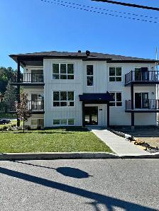 Grand appartement avec garage à louer à Waterloo