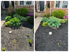 Garden and yard maintenance