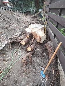 stump chainsaw butcher