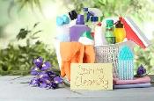 Professional House Cleaning
