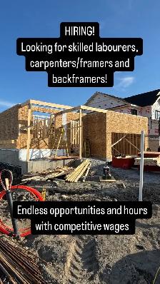 carpenter/ skill labourers