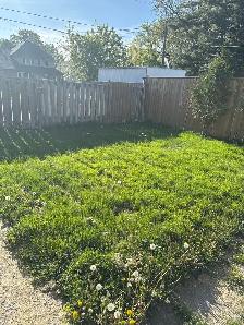 lawn cutting