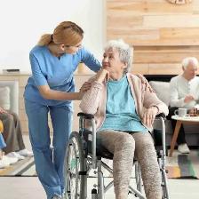 Nanny or Developmental Service Worker