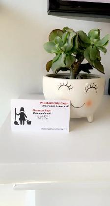 House/Office Cleaner or Elderly Care Person Availible