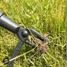 Weed plucker