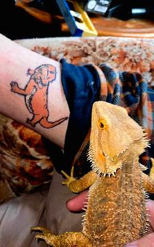 Free Tattoo's By Apprentice Tattoo Artist!