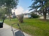 Large Room right in the Heart of Calgary w/ Utilities!