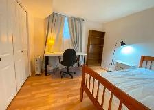 Bright and Quiet Basement Room for Rent