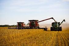 Farm Equipment Operator & Class 1A Drivers - Wanted