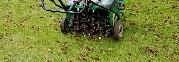 Lawn Aeration