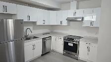 Brand New 2-Bedroom Basement Suite in Prime Rosewood Location
