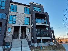 Brand New Never Lived Two Bedroom Condo Townhouse for Rent