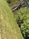 landscaper / custodian required