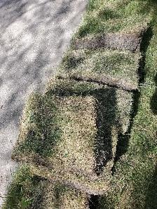 free Sod
