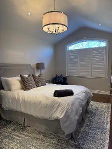 Professional Cleaner in Brampton and Mississauga