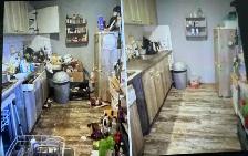 cleaning