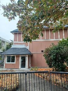 1 bed 1 bath Renovated apartment in 55  building downtown