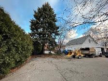 Tree Service