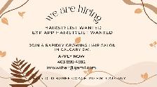 Hiring Hair Stylists