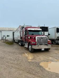 AZ Cross Border Drivers Needed
