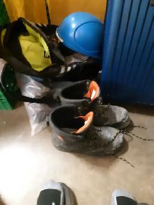 Yardwork Cleanup  Basic Landscaping