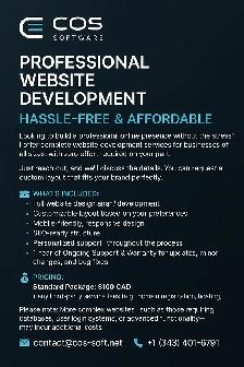 Professional Website Development – Hassle-Free & Affordable