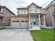 1 bed   1 Den   1 bath Basement Unit for rent in Brampton