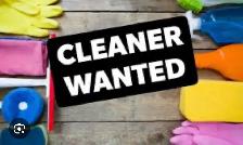 Professional Cleaners Wanted