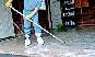 ·Yard Clean-Up·.