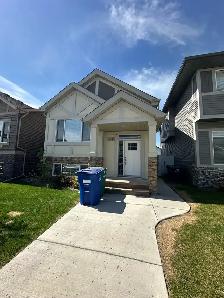 Pet friendly 3 bedroom in Brighton