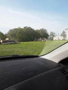 Looking to cut Grass