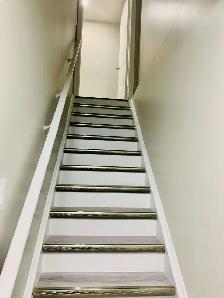 Newly Renovated basement for rent