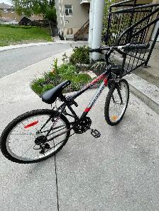 Supercycle bike