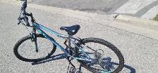 Almost new adult Bike for Sale - Supercycle Nitro $130 obo