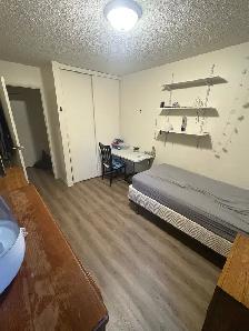 private room for rent in west Edmonton
