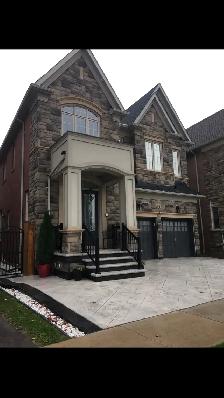 1 Bedroom Basement Apartment