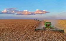 Farm Hand/ Class 1 Driver Wanted