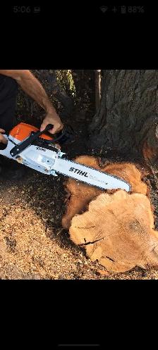 Tree cutting or trimming