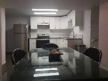 Huge 2 level lower furnished all incl