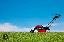 Lawn moving