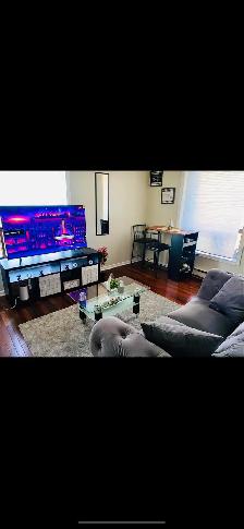 Apartment for rent(Short term summer rental DOWNTOWN TORONTO)