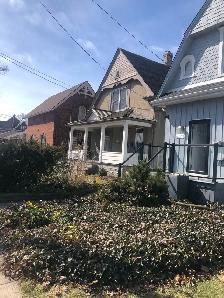 Digging & Landscaping Help – $20/hr
