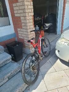 Supercycle Mountain Bike