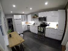MODERN 1 Bedroom   1 Bath Main Floor Unit for rent!