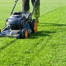 Yard Looking Rough? I'll Rake & Cut It Back Into Shape!