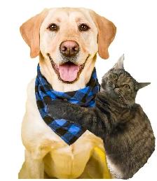 store manager - pet shop