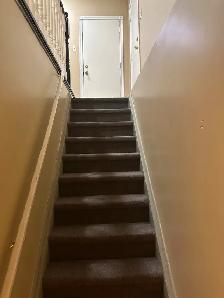 Bright Semi basement apartment