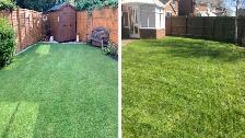 Lawn Care Service -Affordable $ Professional