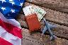 Early USA visa appointments are available